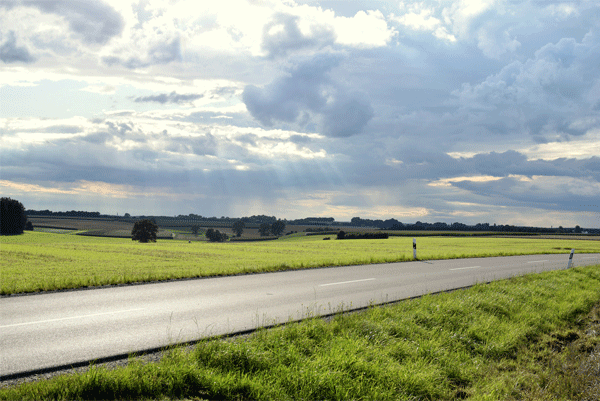 carretera-verde